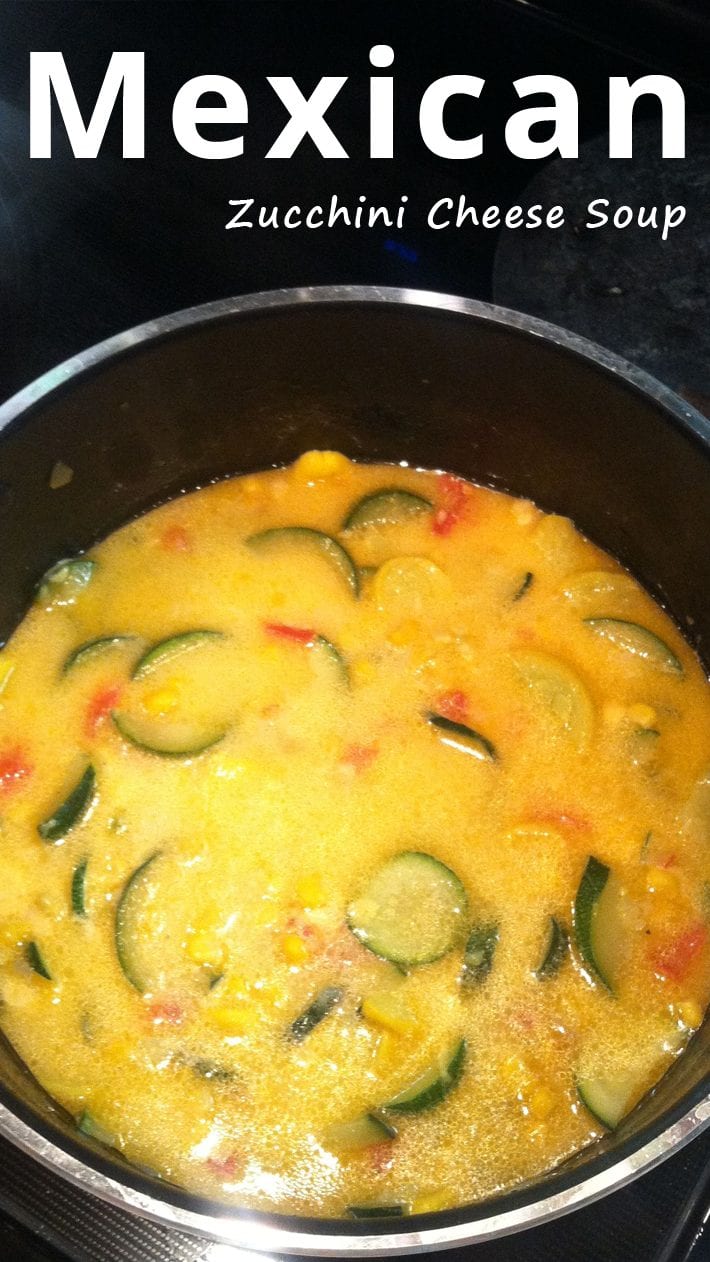 Mexican Zucchini Cheese Soup - Recommended Tips
